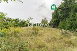 TN375354 - zdjęcie nr 1