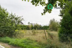 TN375354 - zdjęcie nr 2
