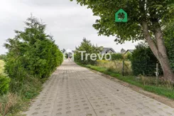 TN375354 - zdjęcie nr 4