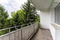 TN162477 - zdjęcie nr 1