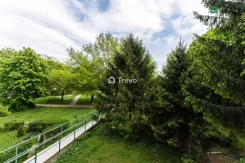 TN162477 - zdjęcie nr 2