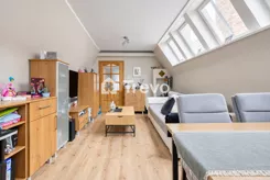 TN506529 - zdjęcie nr 4