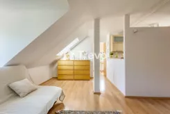 TN481372 - zdjęcie nr 0