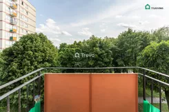 TN423387 - zdjęcie nr 2
