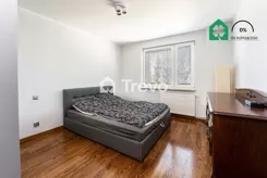 TN139580 - zdjęcie nr 0