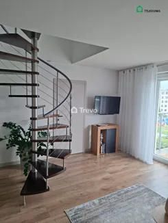 TN352873 - zdjęcie nr 1