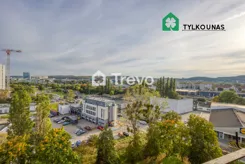 TN380981 - zdjęcie nr 2