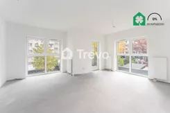 TN494397 - zdjęcie nr 1