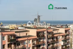 TN291225 - zdjęcie nr 1