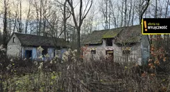 GH700094 - zdjęcie nr 2