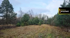 GH700094 - zdjęcie nr 4