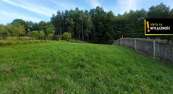 GH385218 - zdjęcie nr 2