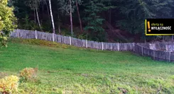 GH385218 - zdjęcie nr 4