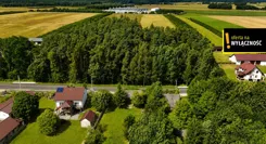 GH927271 - zdjęcie nr 2