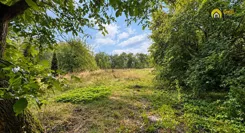 GH339370 - zdjęcie nr 1