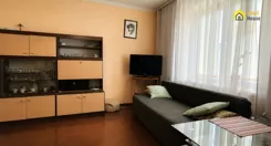 GH324809 - zdjęcie nr 3
