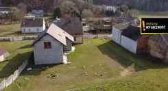 GH328557416 - zdjęcie nr 1