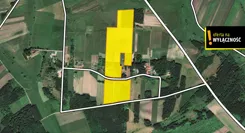 GH889308 - zdjęcie nr 0