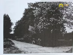 GH405535 - zdjęcie nr 3