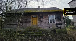 GH843525 - zdjęcie nr 4