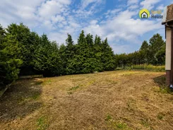 GH771142 - zdjęcie nr 3