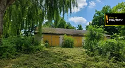 GH530416 - zdjęcie nr 4