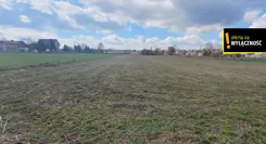 GH754142 - zdjęcie nr 1
