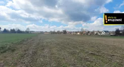 GH754142 - zdjęcie nr 2
