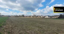 GH754142 - zdjęcie nr 4