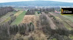 GH469184 - zdjęcie nr 4