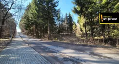 GH298320 - zdjęcie nr 3