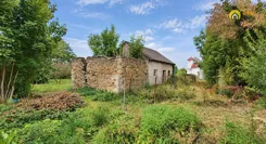 GH655770 - zdjęcie nr 3