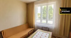 GH243703 - zdjęcie nr 3