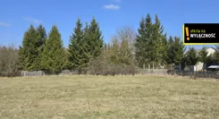 GH499994 - zdjęcie nr 3