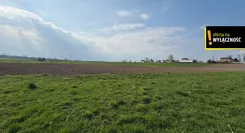GH709072 - zdjęcie nr 0