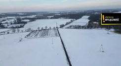 GH247721 - zdjęcie nr 2