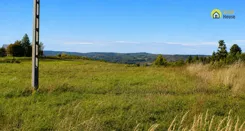 GH335725 - zdjęcie nr 1