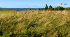 GH335725 - zdjęcie nr 2