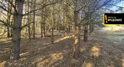 GH391367 - zdjęcie nr 2