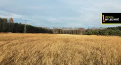 GH473641 - zdjęcie nr 1