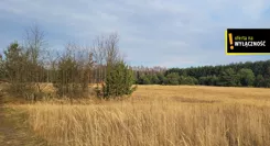 GH473641 - zdjęcie nr 2