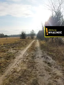GH473641 - zdjęcie nr 3