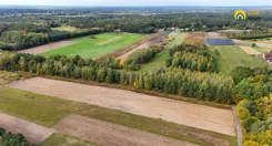 GH514399 - zdjęcie nr 3