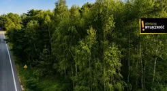 GH935436 - zdjęcie nr 3