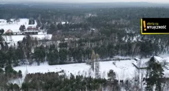 GH858171 - zdjęcie nr 3