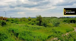 GH943567 - zdjęcie nr 3