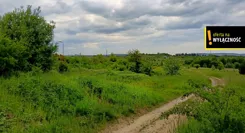 GH943567 - zdjęcie nr 4