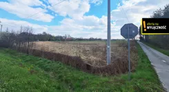 GH120196 - zdjęcie nr 2