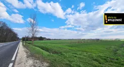 GH394520 - zdjęcie nr 2