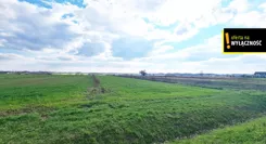 GH394520 - zdjęcie nr 4
